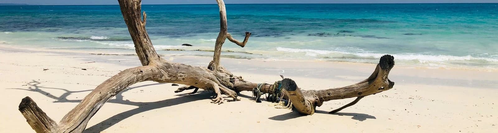 Travel component: Paradise Andaman & Nicobar Islands