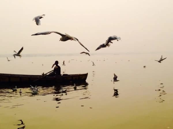 Rajasthan reale e Varanasi — photo 2