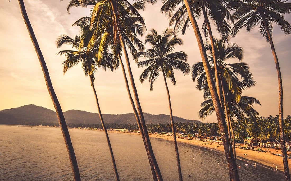 Travel component: Beach holiday in Goa — photo 5