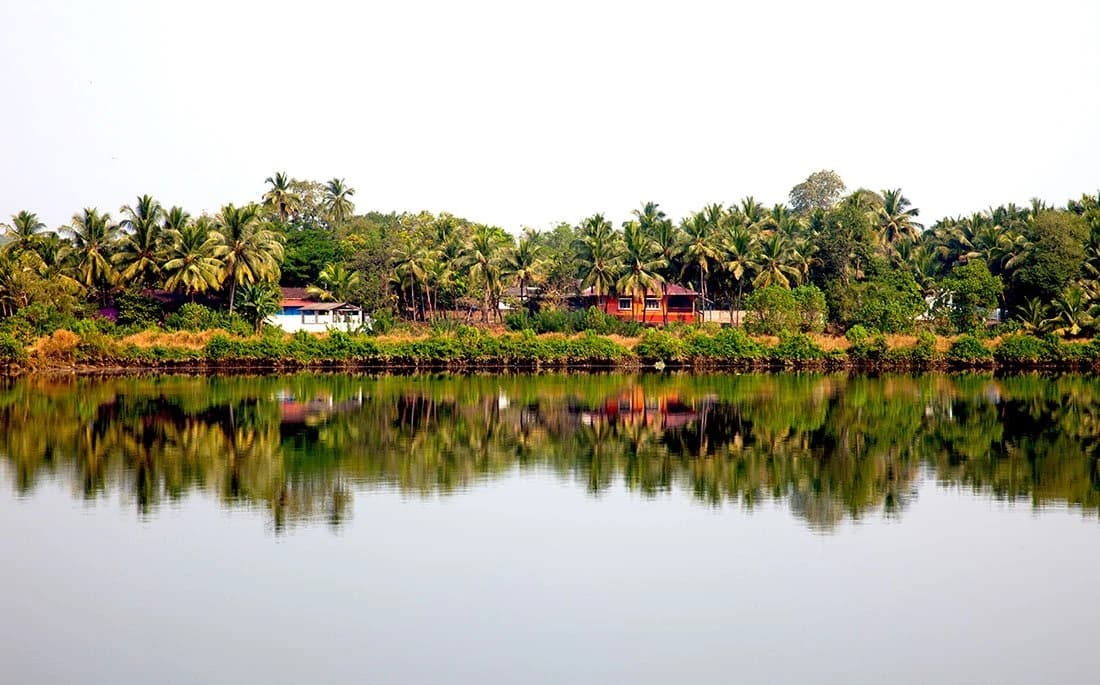 Travel component: Beach holiday in Goa — photo 4