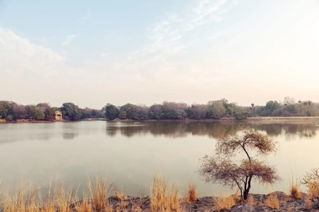 La magia del Rajasthan — photo 2