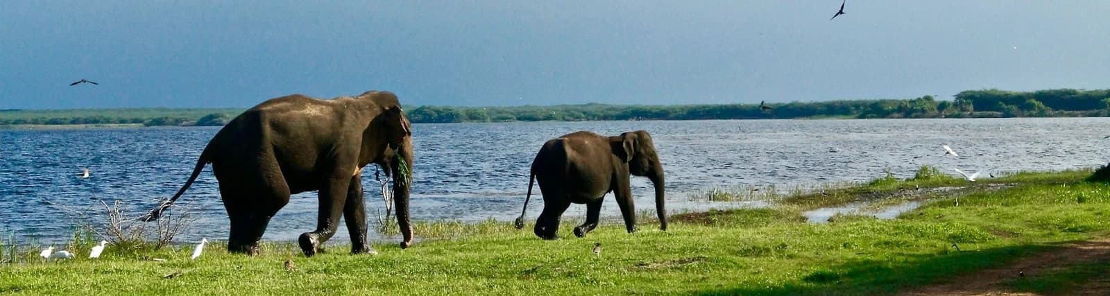Family Travel