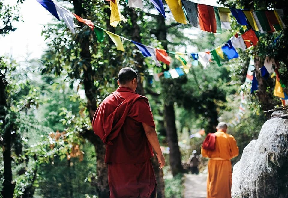 Temples, shrines & Himalayas — photo 5