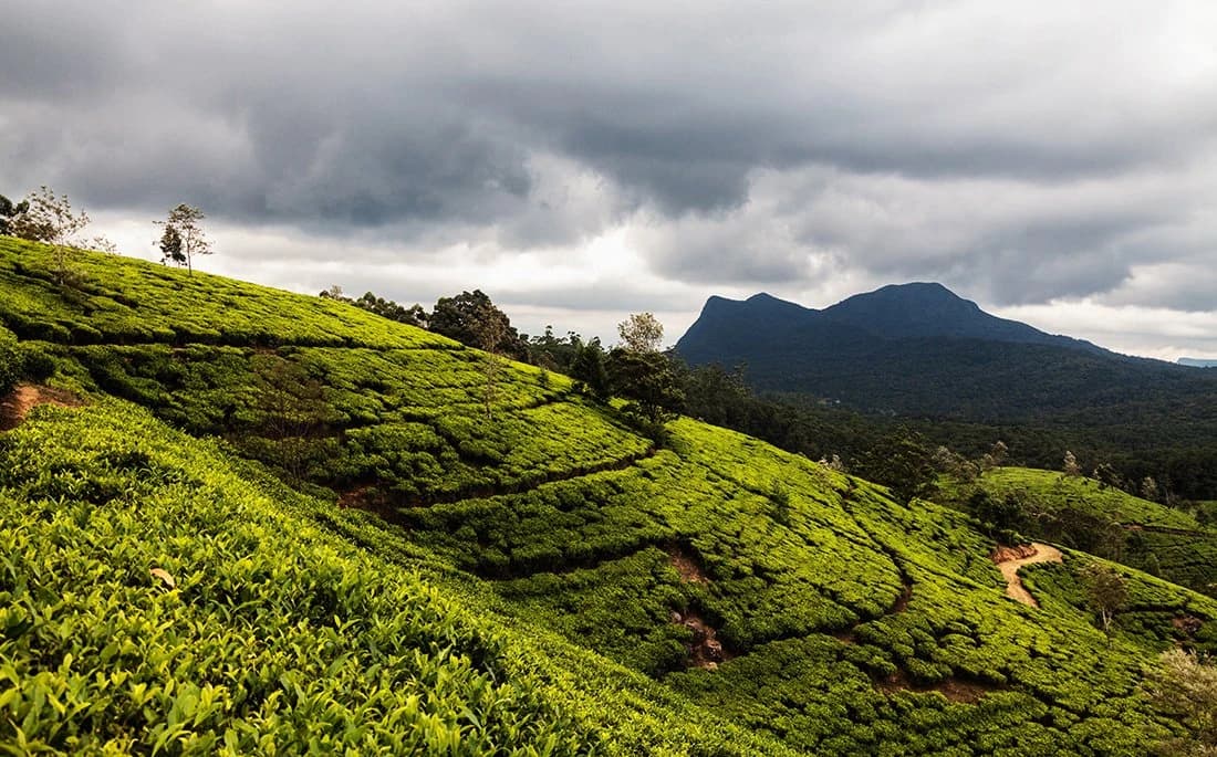 Nuwara Eliya & Horton Plains — viajes a medida con The Asian Trip
