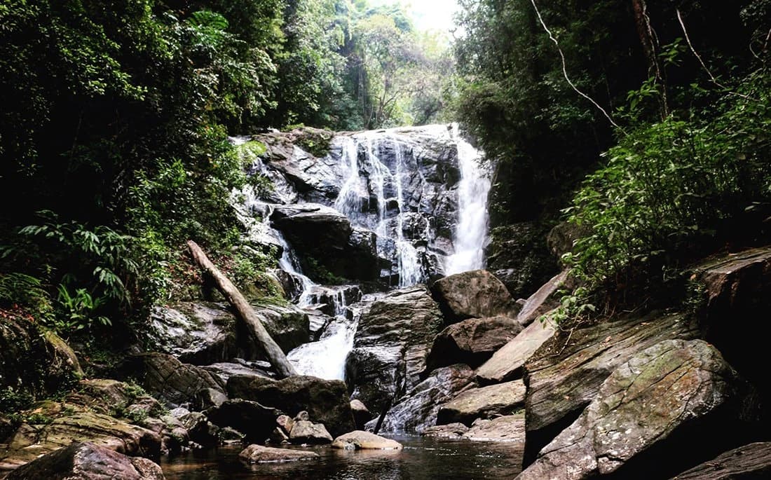 Sri Lanka's glory — photo 1