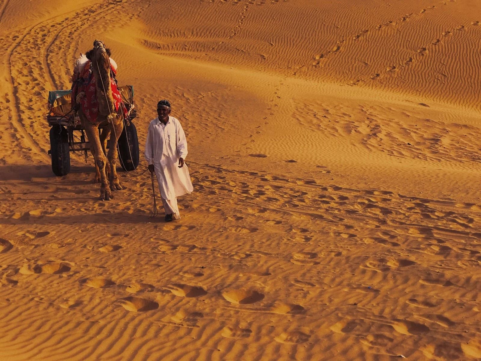 From deserts to beaches and mountains